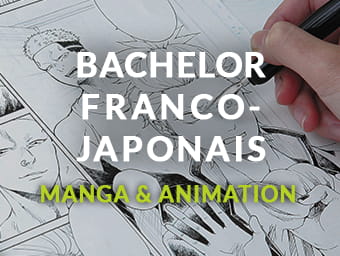 Bachelor Manga et Animation Franco-Japonais